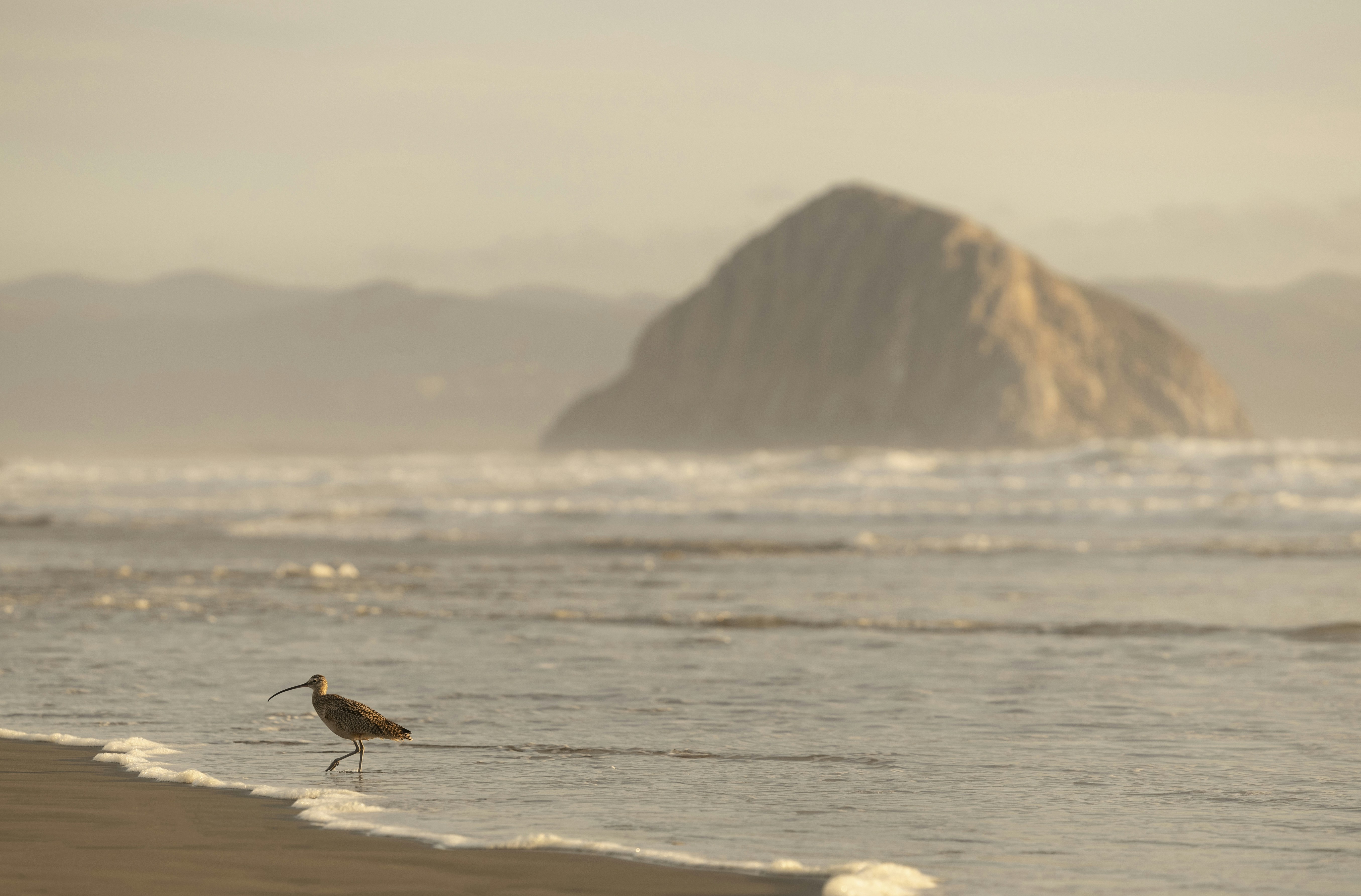 Photo by leo_visions_