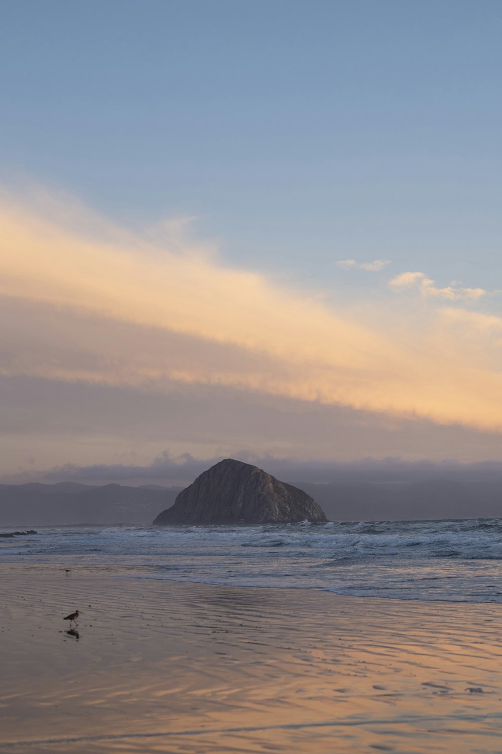 silhouette of person standing on seashore during sunset