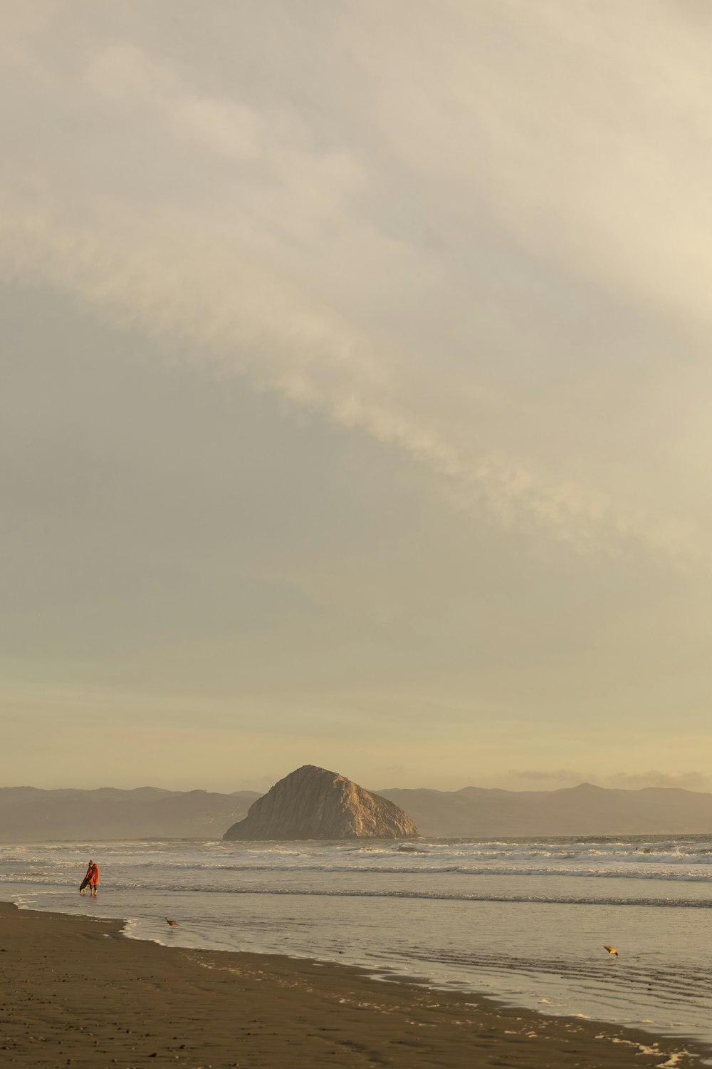 person standing on beach during daytime