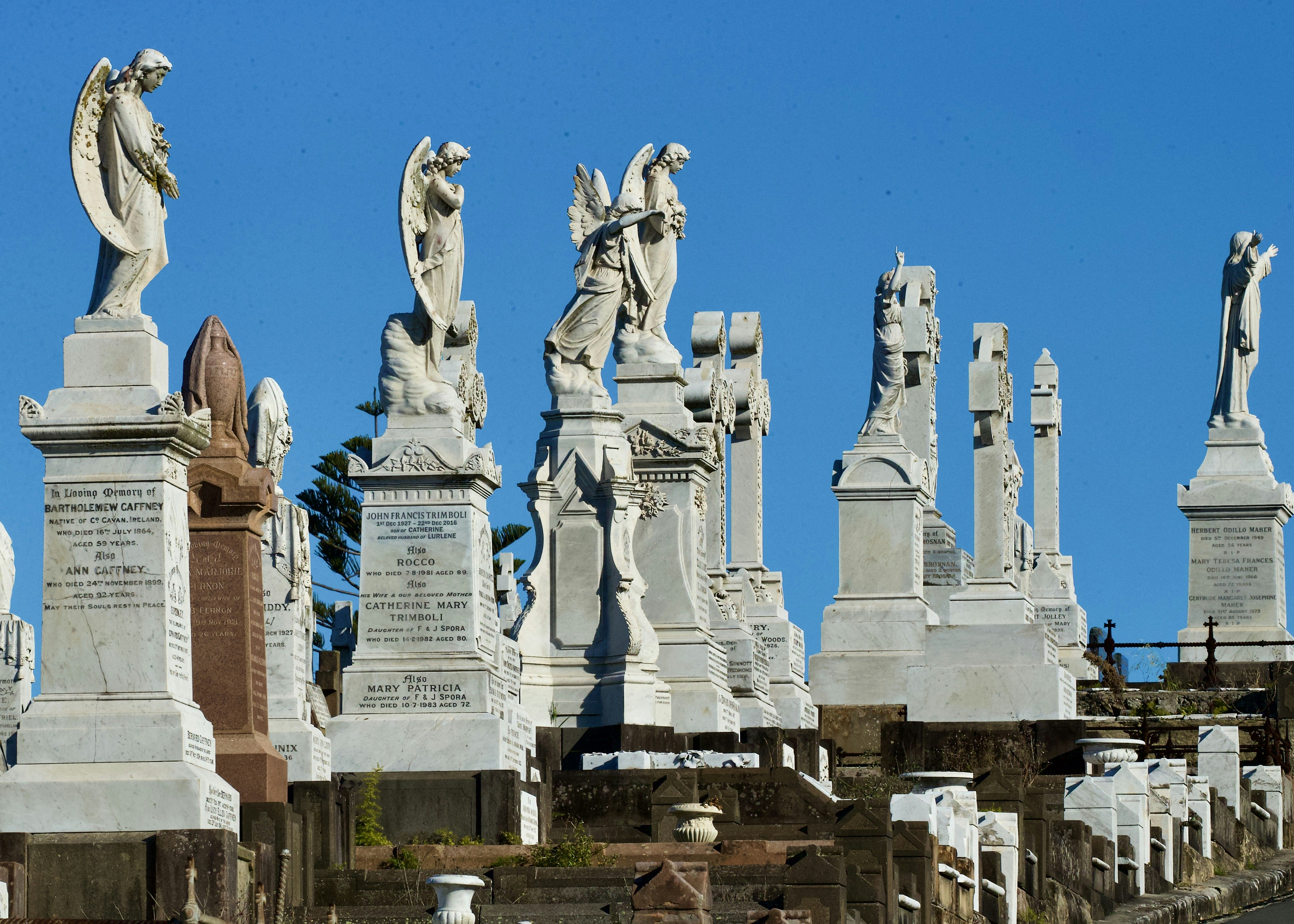 white concrete statue under blue sky during daytime