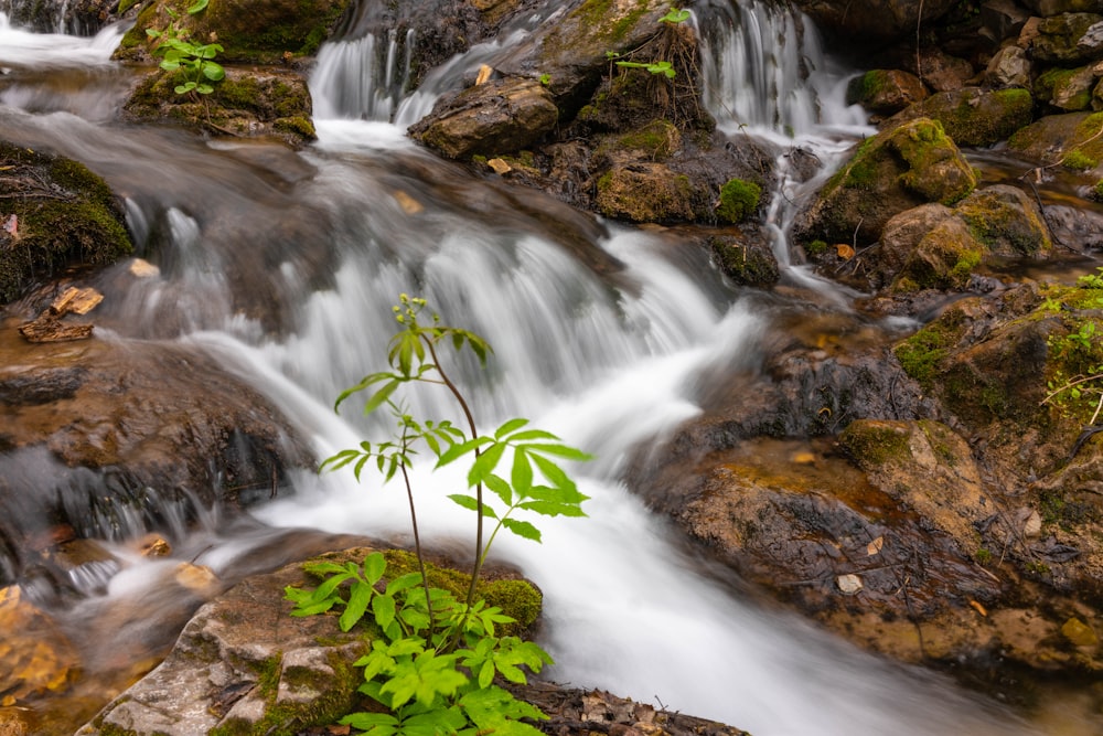 water falls with green moss