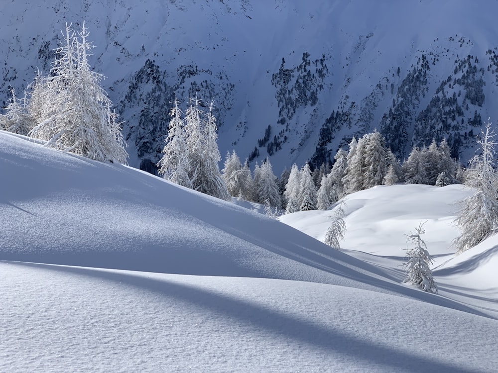 snow covered mountain during daytime