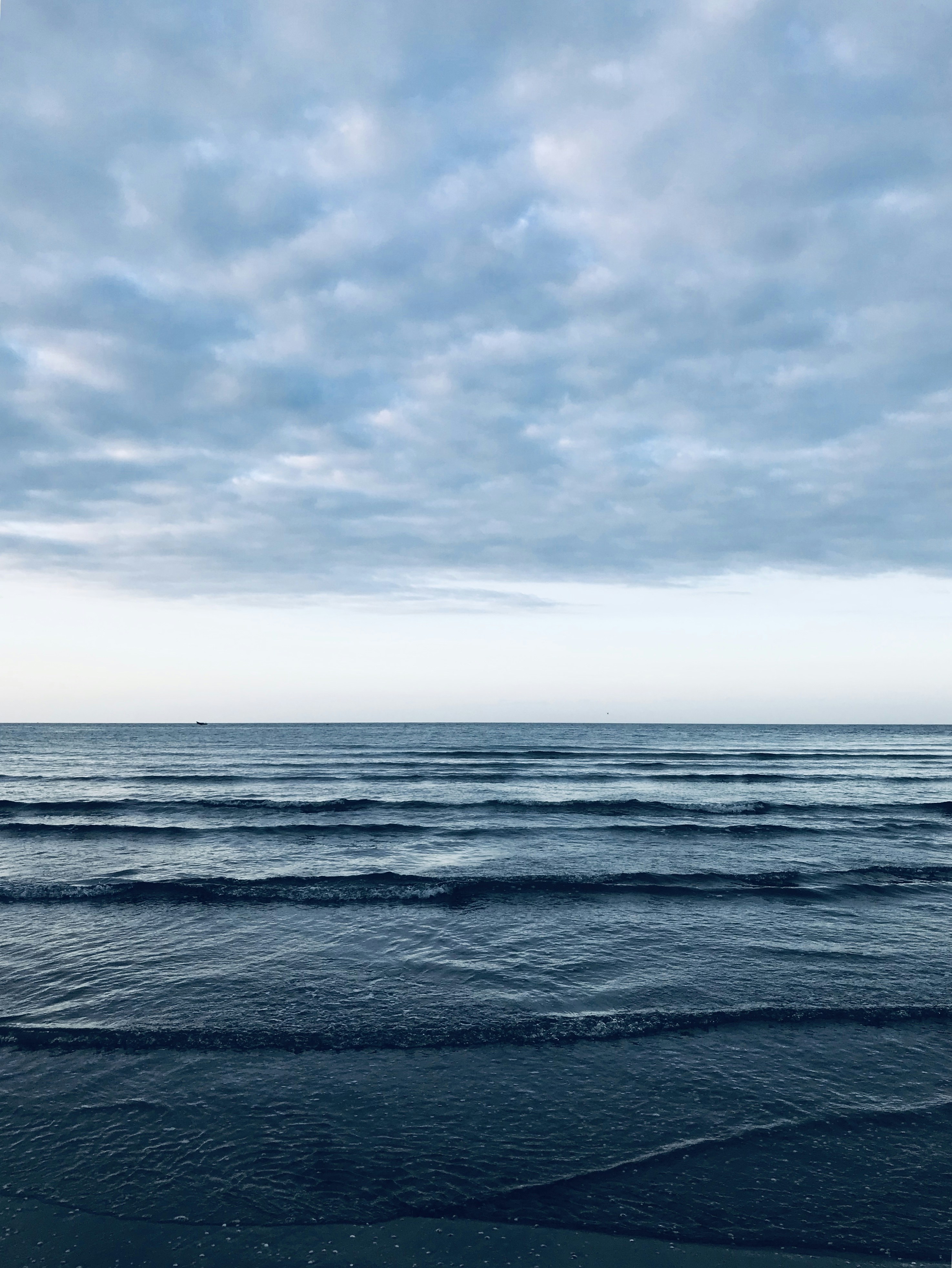 Photo by mary_the_green