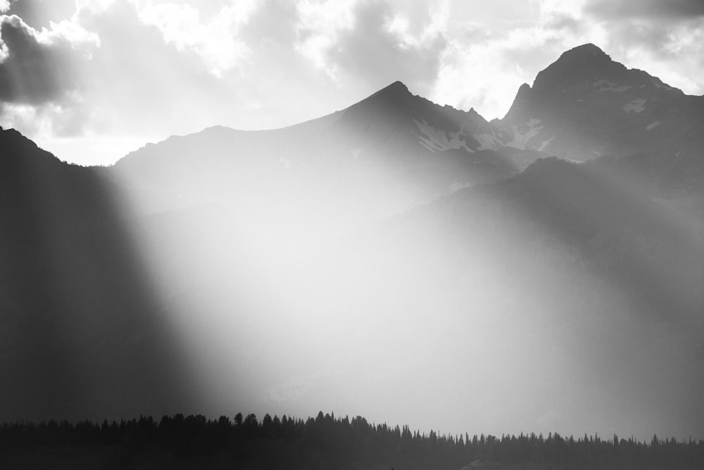 silhouette of trees and mountains during daytime