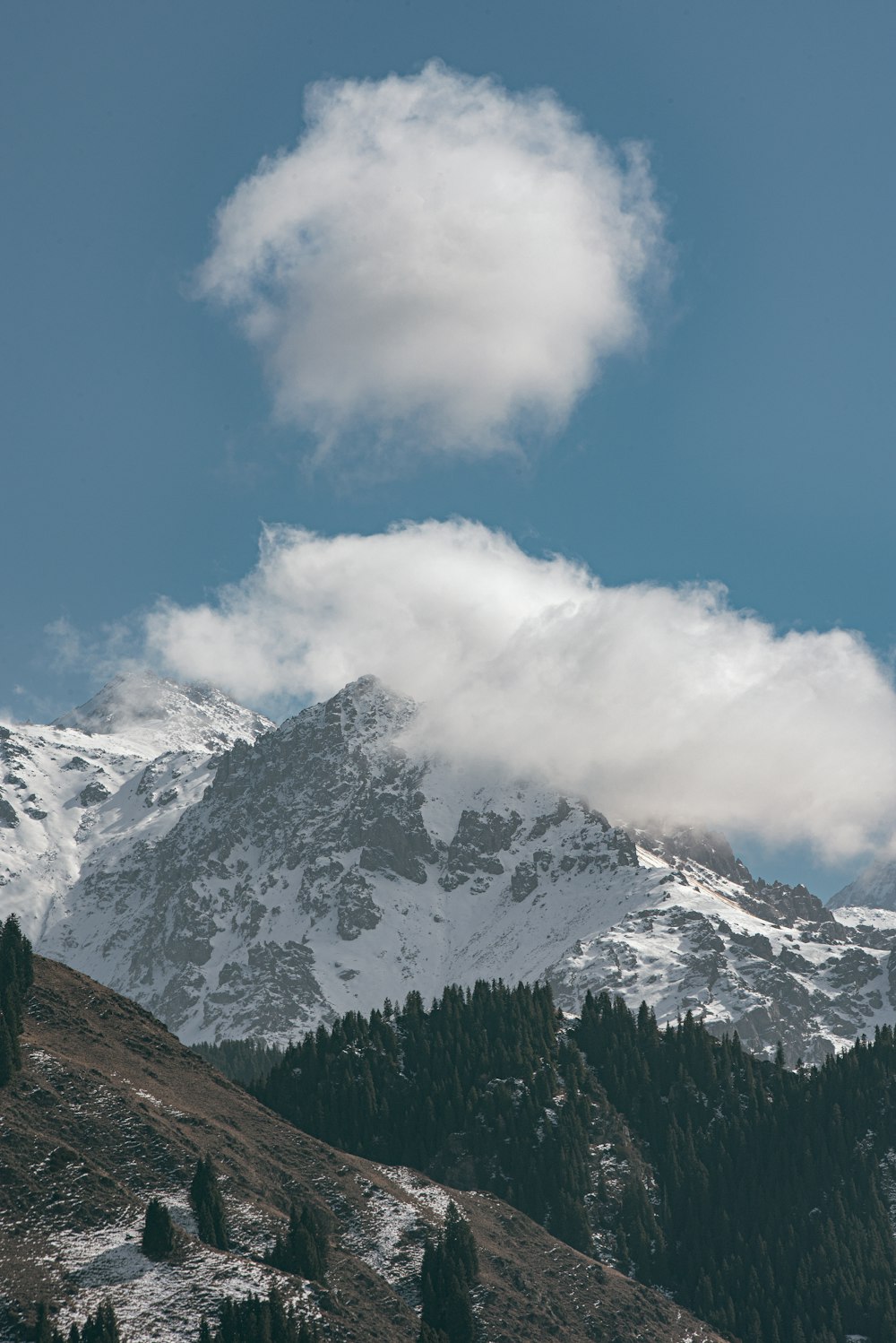 árvores verdes na montanha sob o céu azul durante o dia