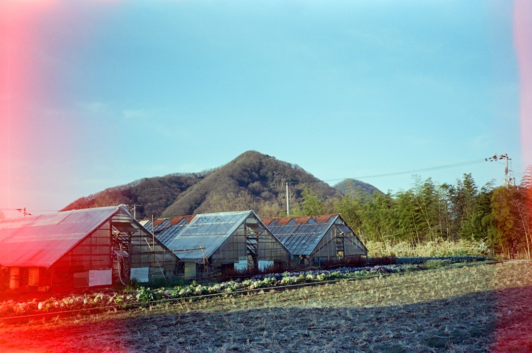 red and gray house near green mountain under blue sky during daytime