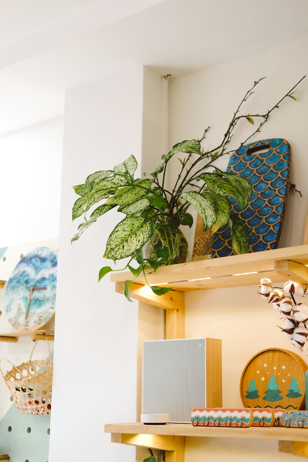 green plant on white wooden table