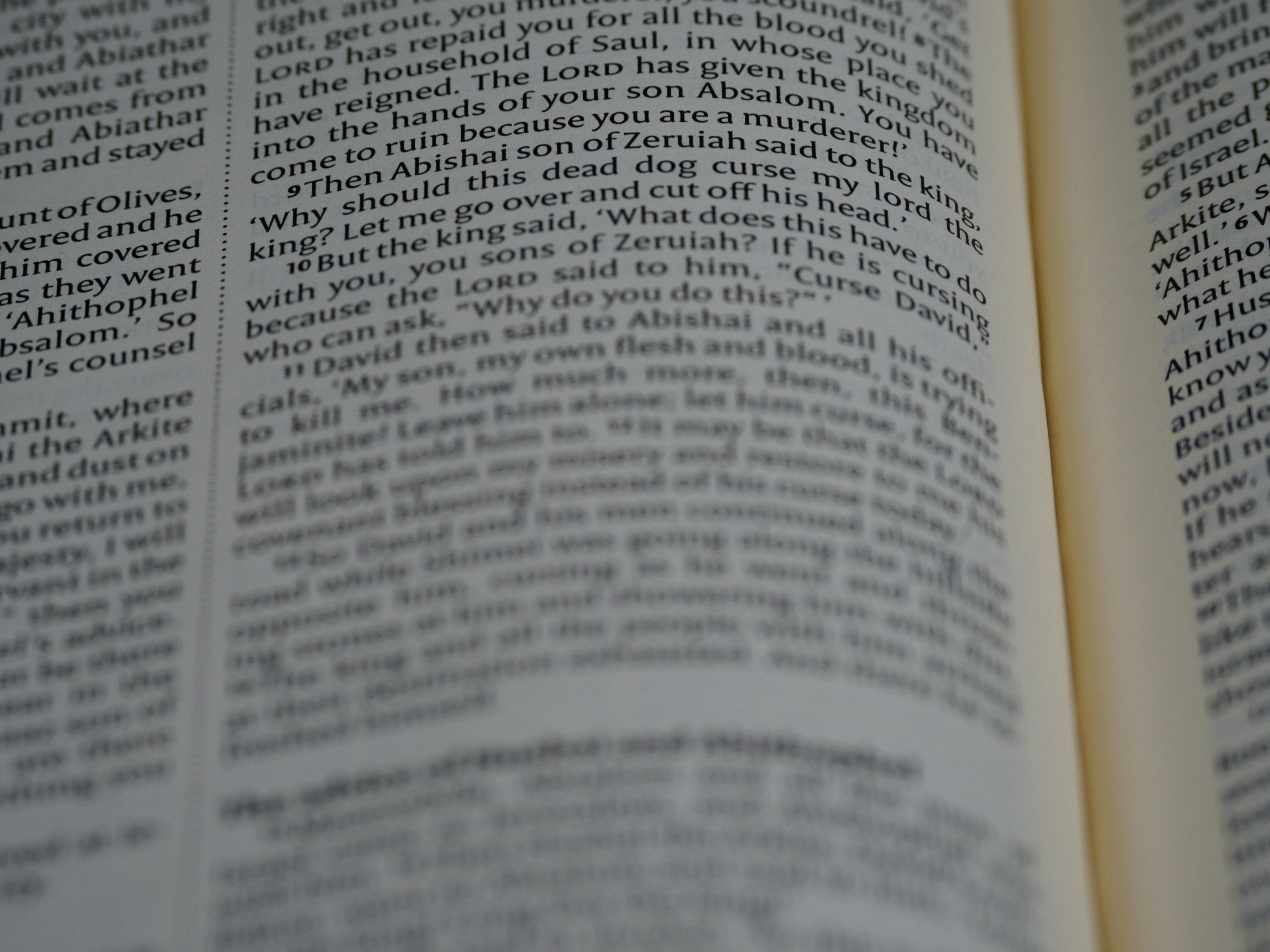 Photo by brett_jordan