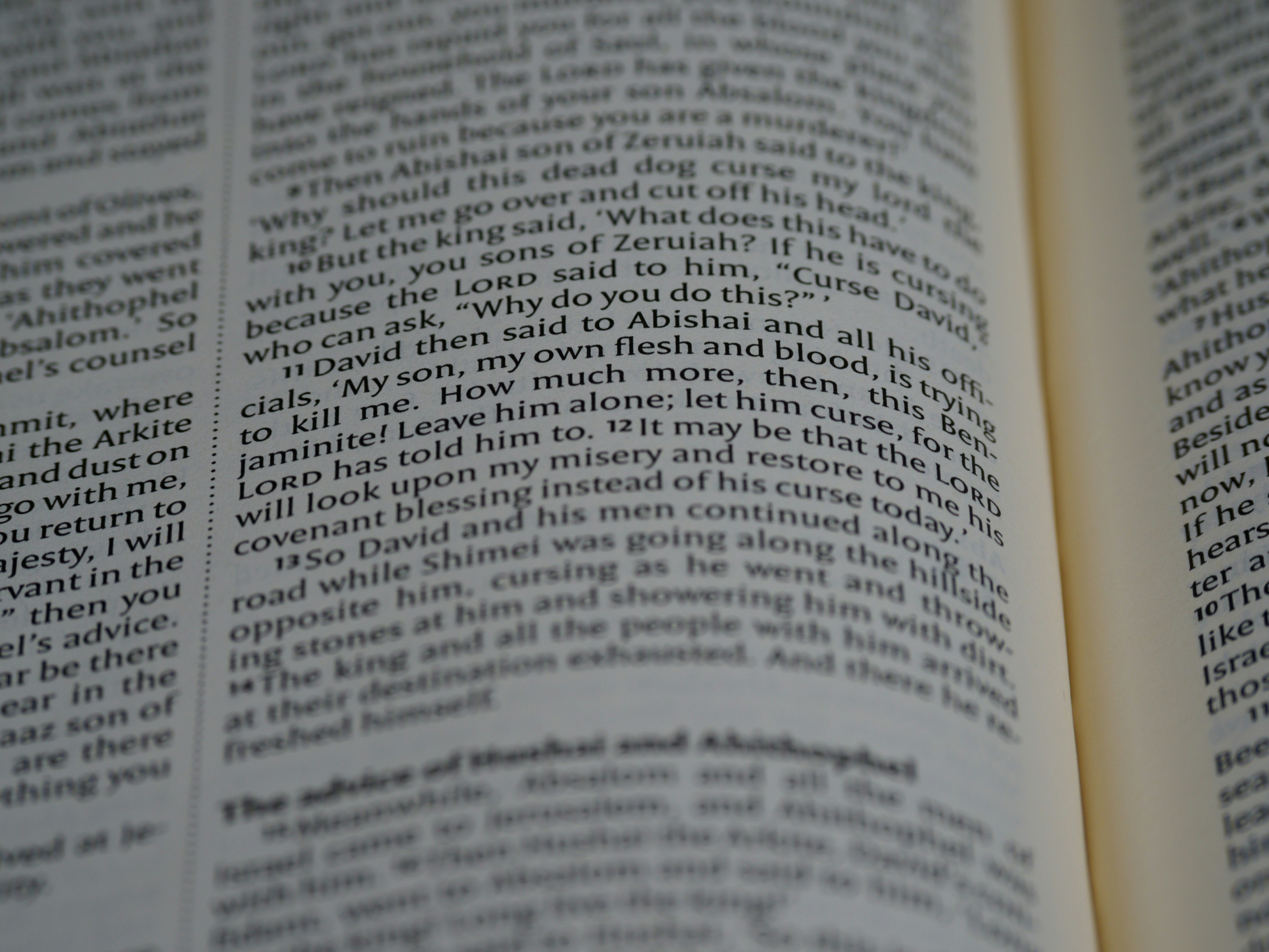 Photo by brett_jordan