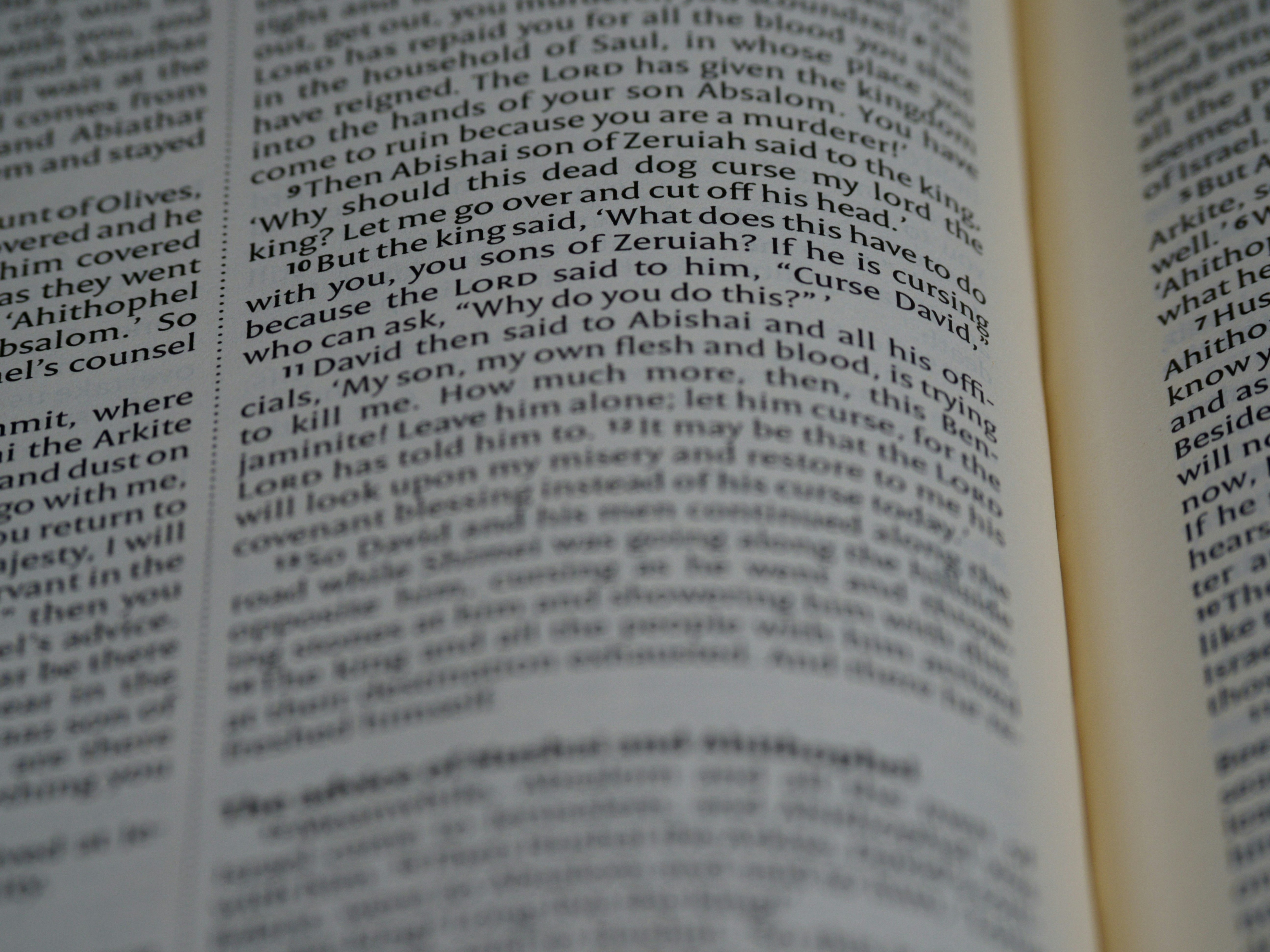 Photo by brett_jordan