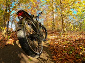 Close-up of a mountain bike tire gripping the dirt path with autumn leaves scattered around.