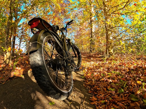 A fatbike parked against a rustic wall with autumn leaves around.
