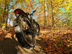 Close-up of a mountain bike tire on a dirt path covered with colorful fallen leaves