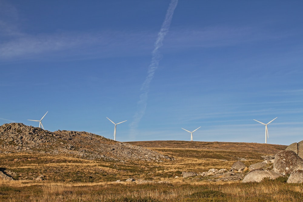 white wind turbine on brown grass field under blue sky during daytime