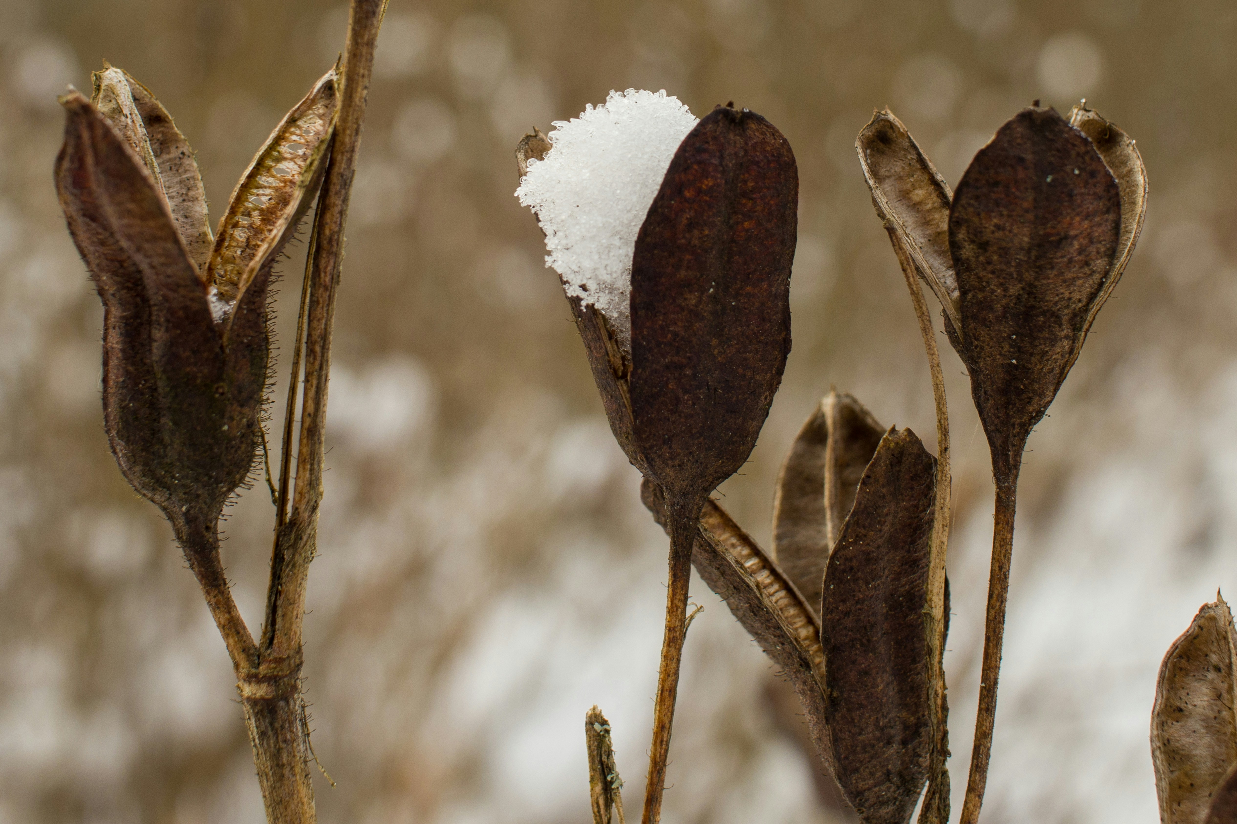 Photo by uin84917798