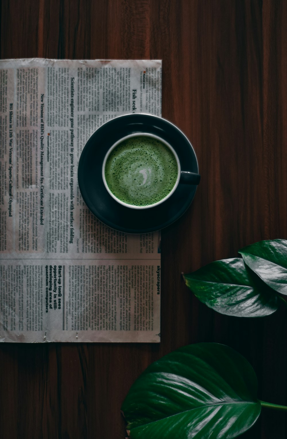 green ceramic round plate on brown wooden table