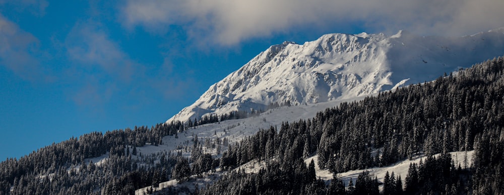 montanha coberta de neve durante o dia