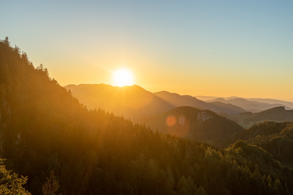 green trees on mountain during daytime