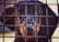 A dachshund with a black and tan coat peers through a grid-like fence. The dog's face is centered and closely framed by the metal bars, creating a sense of confinement. The lighting highlights the dog's expressive eyes and smooth fur.