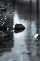 gray rocks on body of water