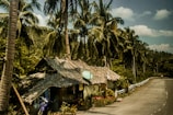 A rustic hut with a thatched roof is surrounded by lush green palm trees. The hut is situated at the side of a winding road with tropical flora and a small motorbike parked nearby. The sky is partly cloudy, adding depth to the serene rural landscape.