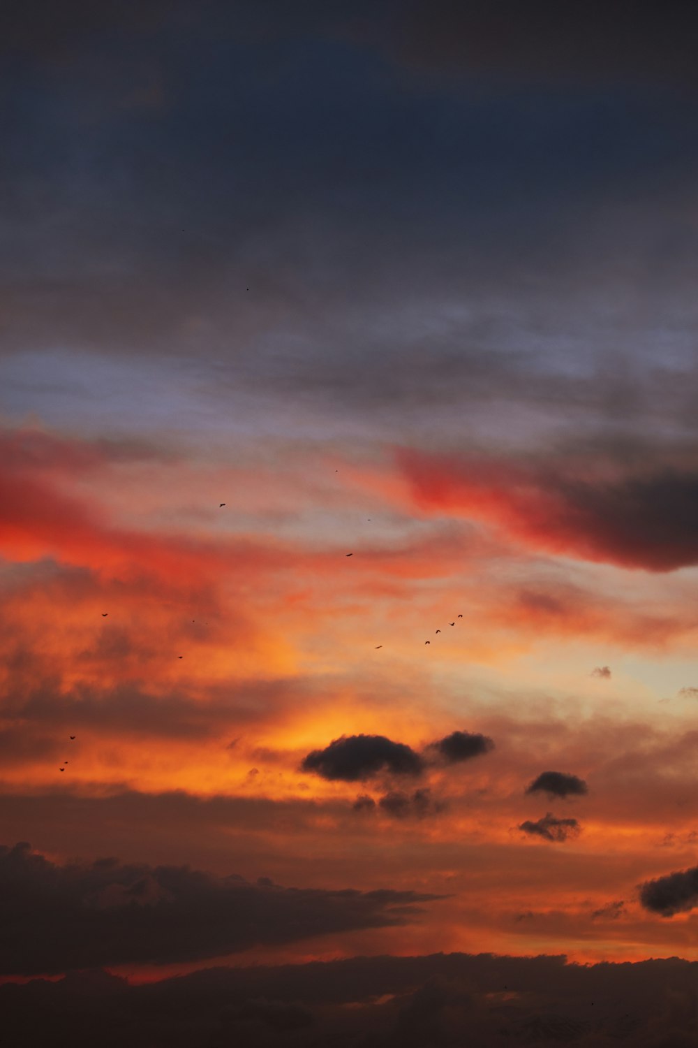 orange and blue cloudy sky