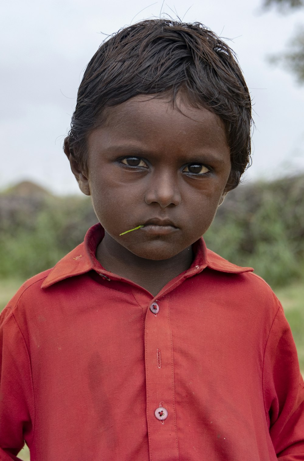 boy in red button up shirt with green leaf on his mouth