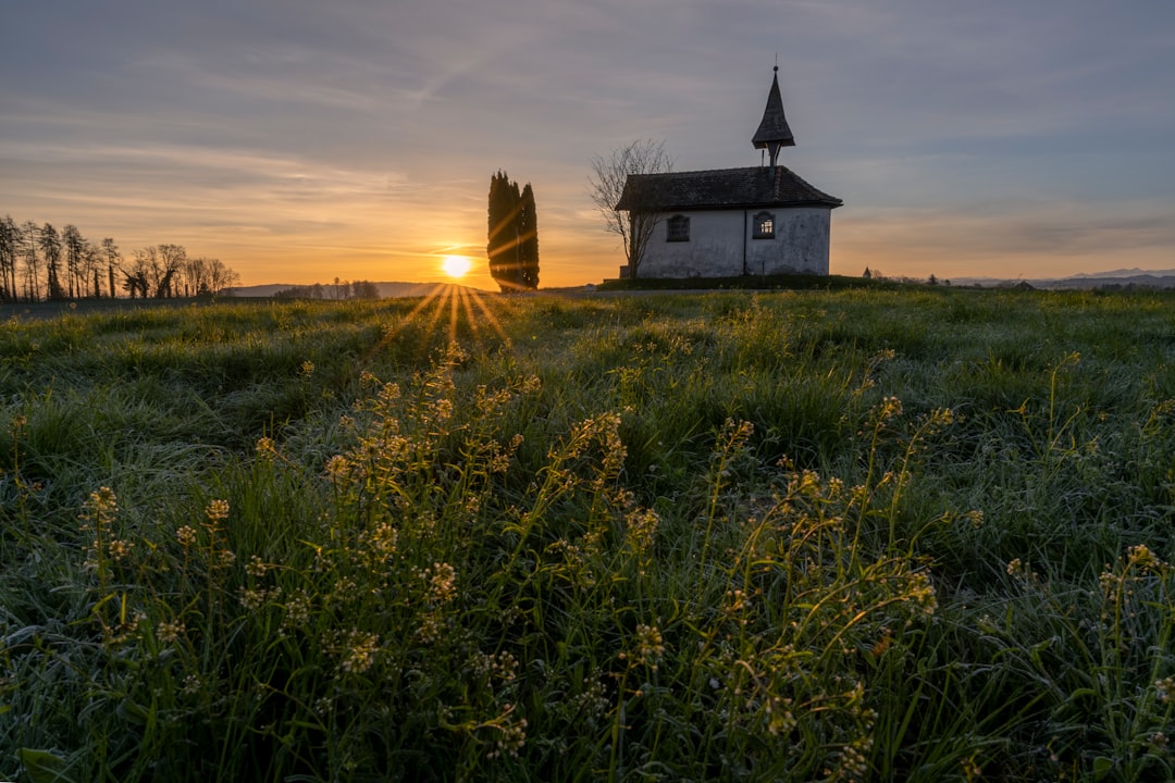 white and black house on green grass field during sunset