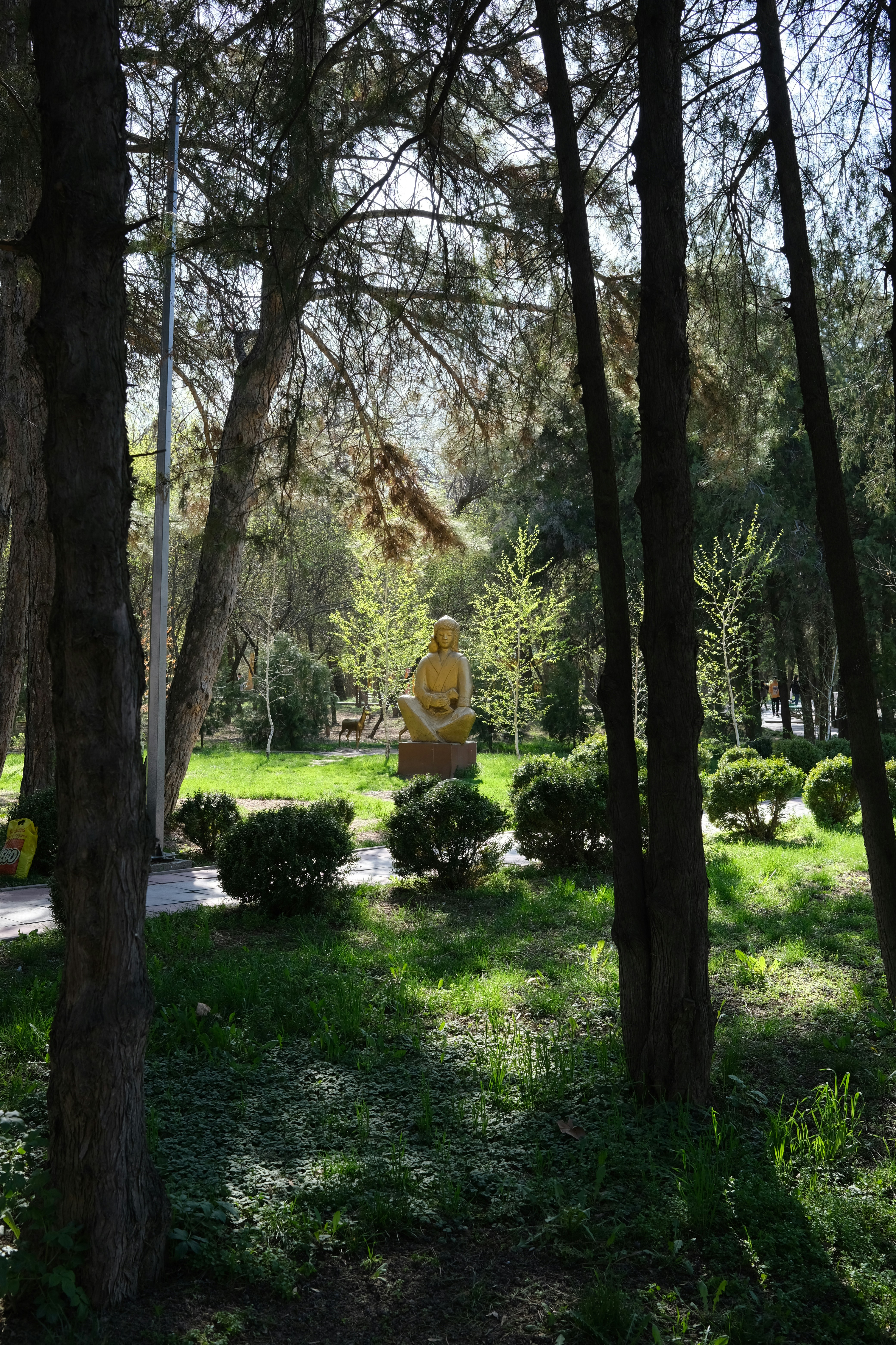 Persona meditando en naturaleza con luz dorada del amanecer y ambiente de paz y tranquilidad