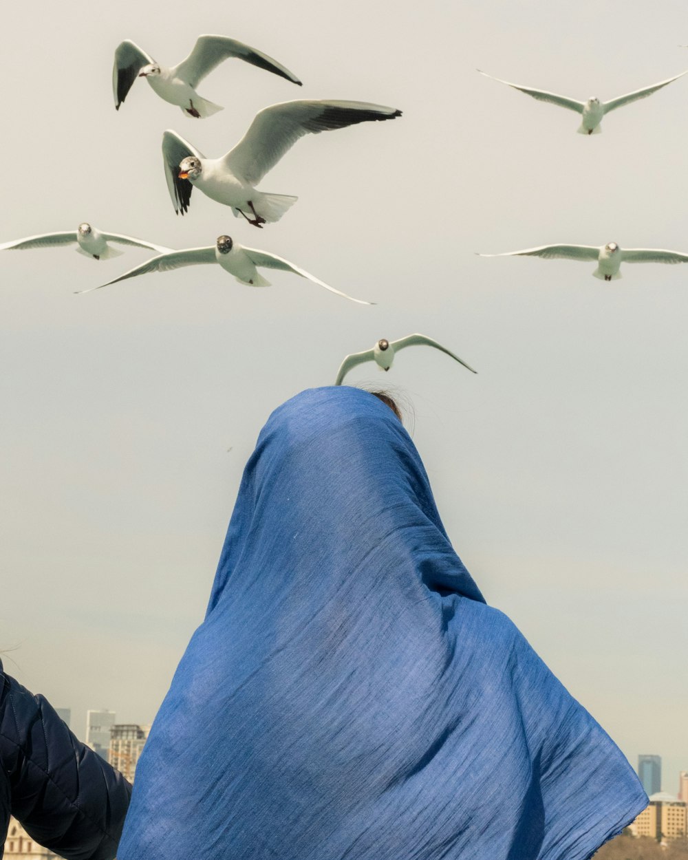 white birds flying during daytime