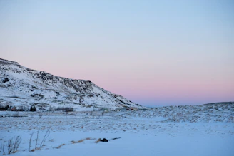 A serene tundra landscape at dawn with soft icy blues and gentle snow textures.