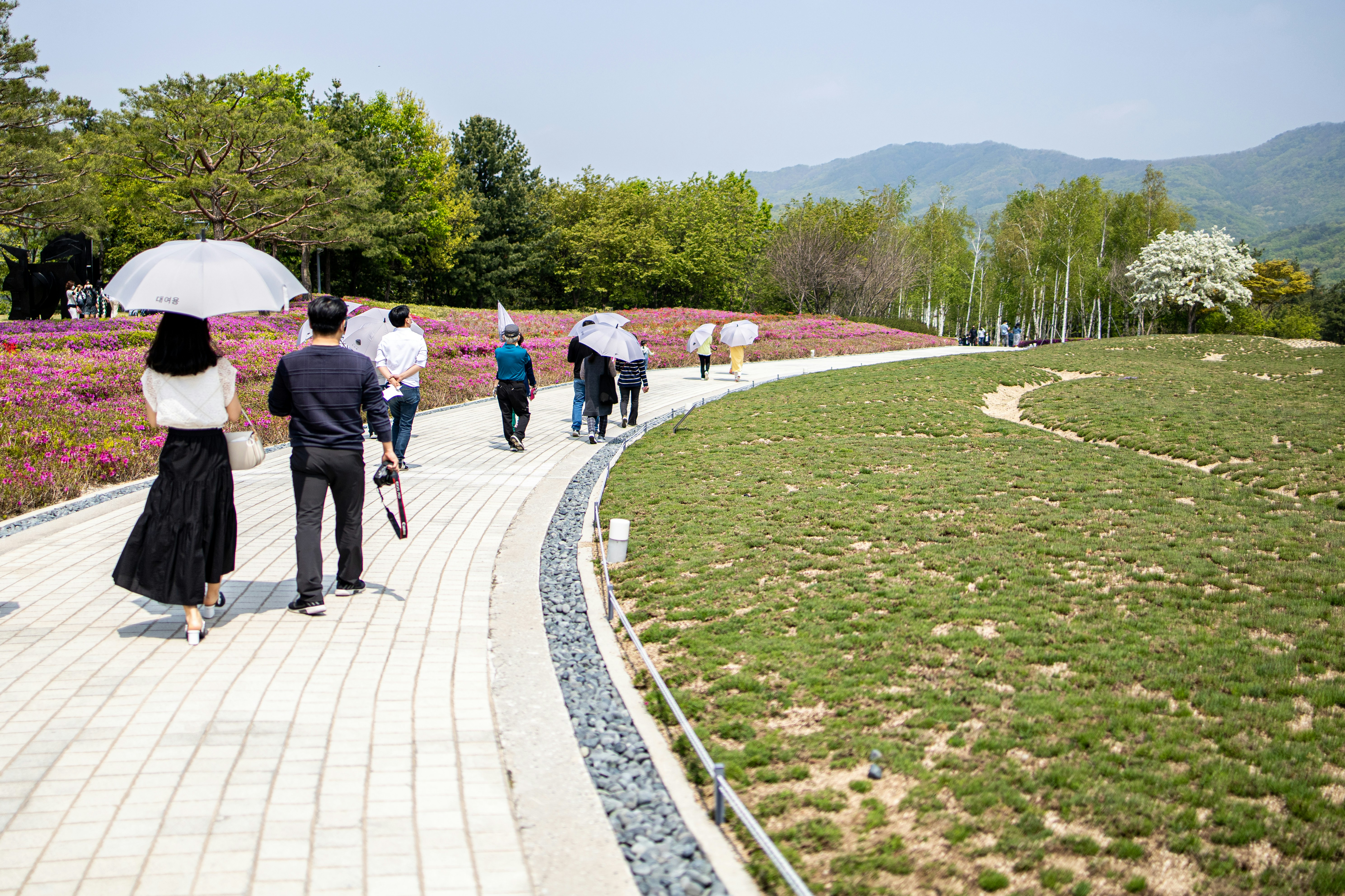 people walking on green grass field during daytime