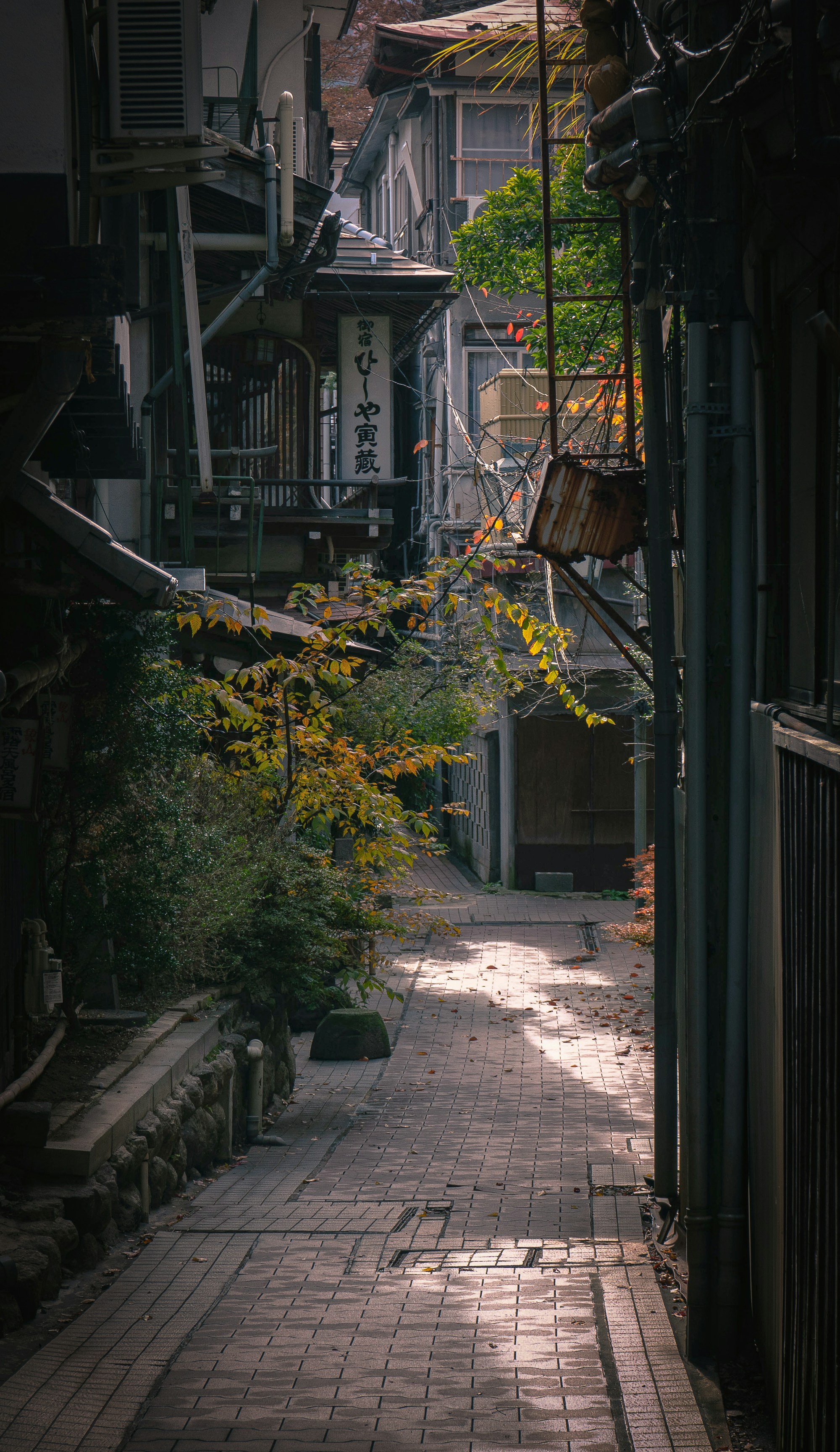 Exploring Yamanouchi: A Comprehensive Travel Guide