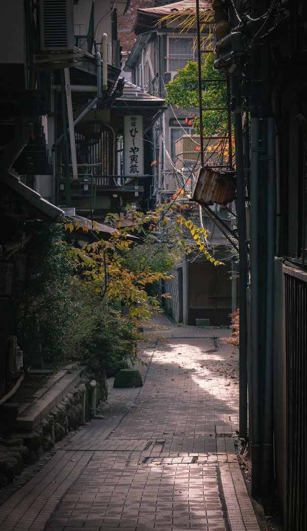 Exploring Yamanouchi: A Comprehensive Travel Guide