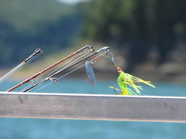 Catch a Fish with Modern Baits
