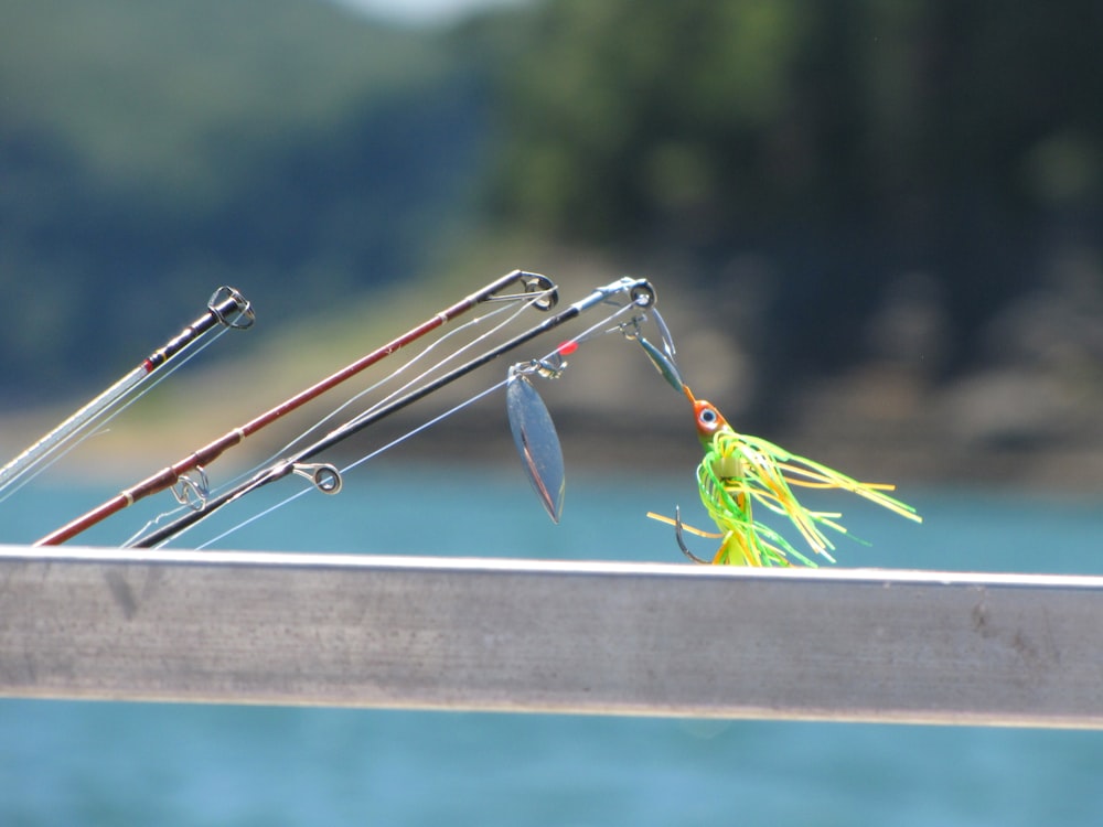 green and yellow bird on silver rod