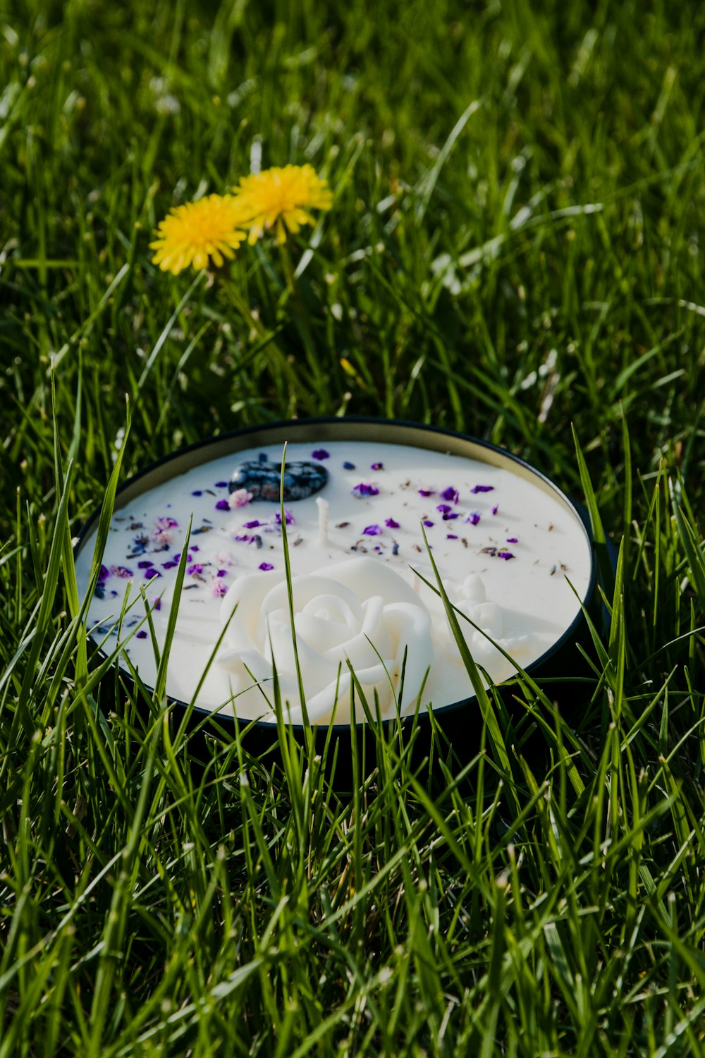 white and pink floral round plate on green grass