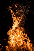 fire in the dark during night time