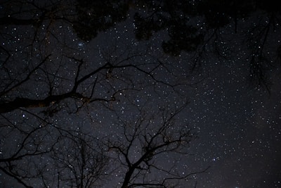 A starry night sky with constellations subtly forming the shape of a family tree