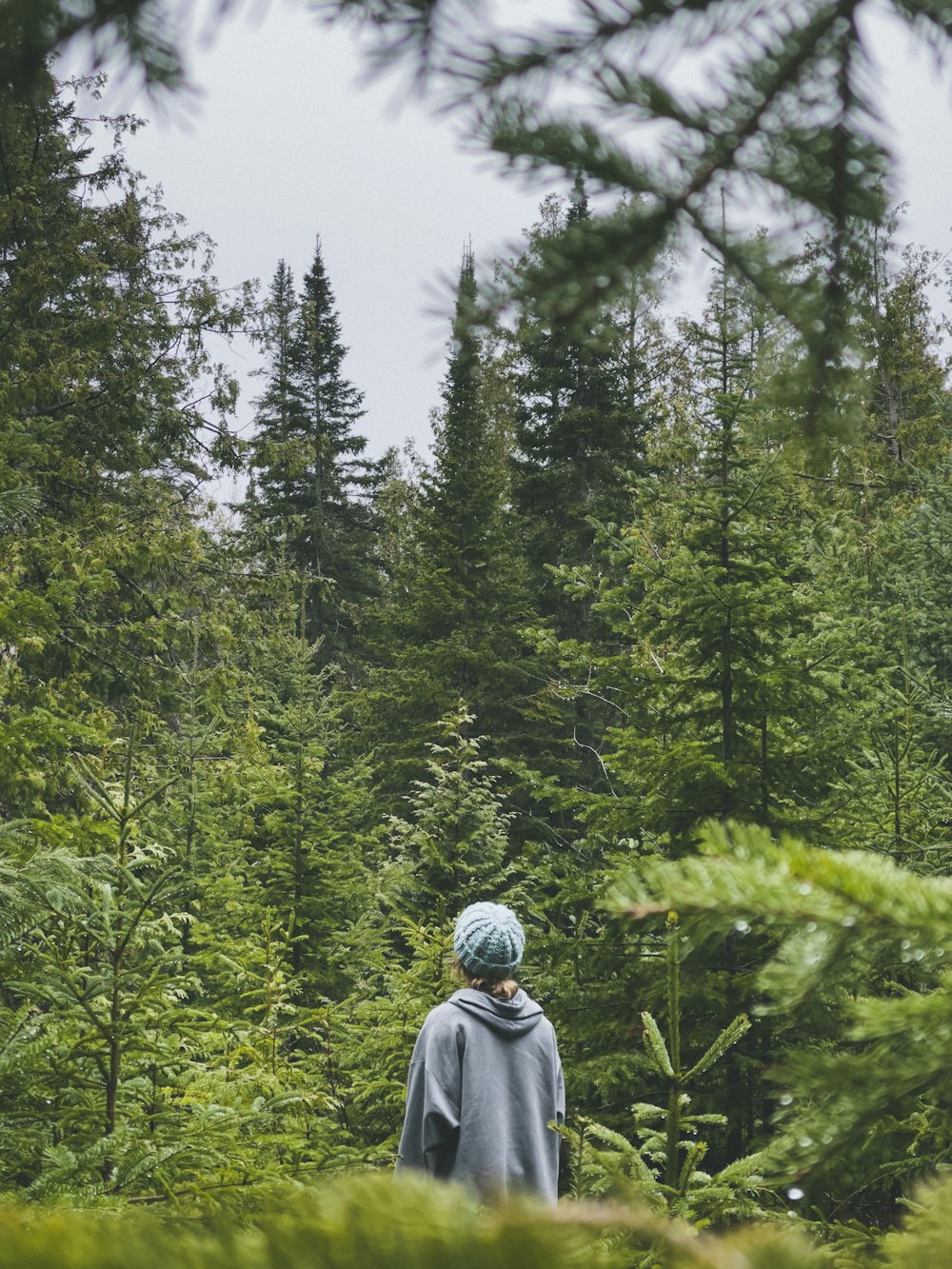 Person in grauem Kapuzenpullover tagsüber vor grünen Bäumen