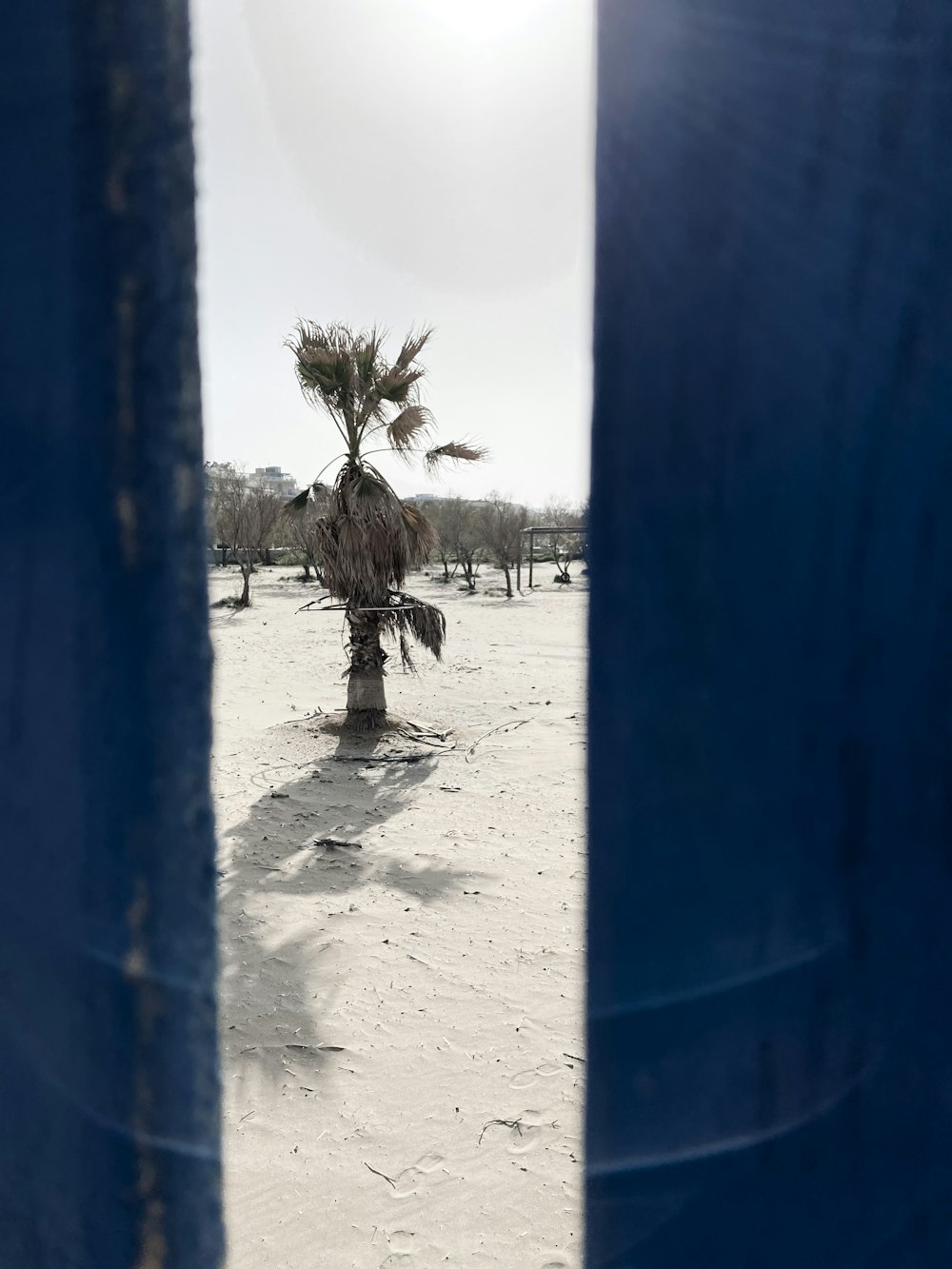 person walking on beach during daytime