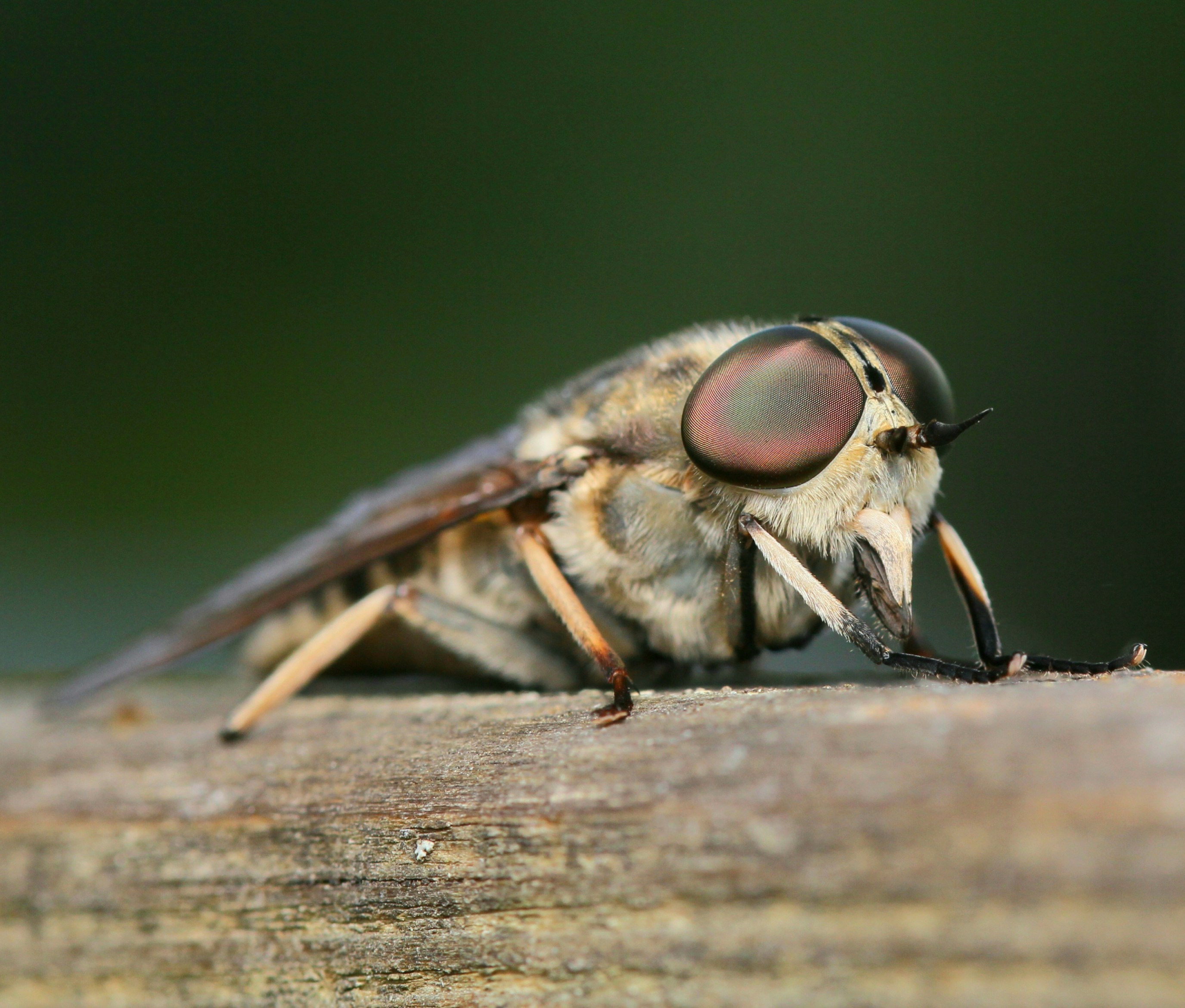 Photo by patrick_rooijen