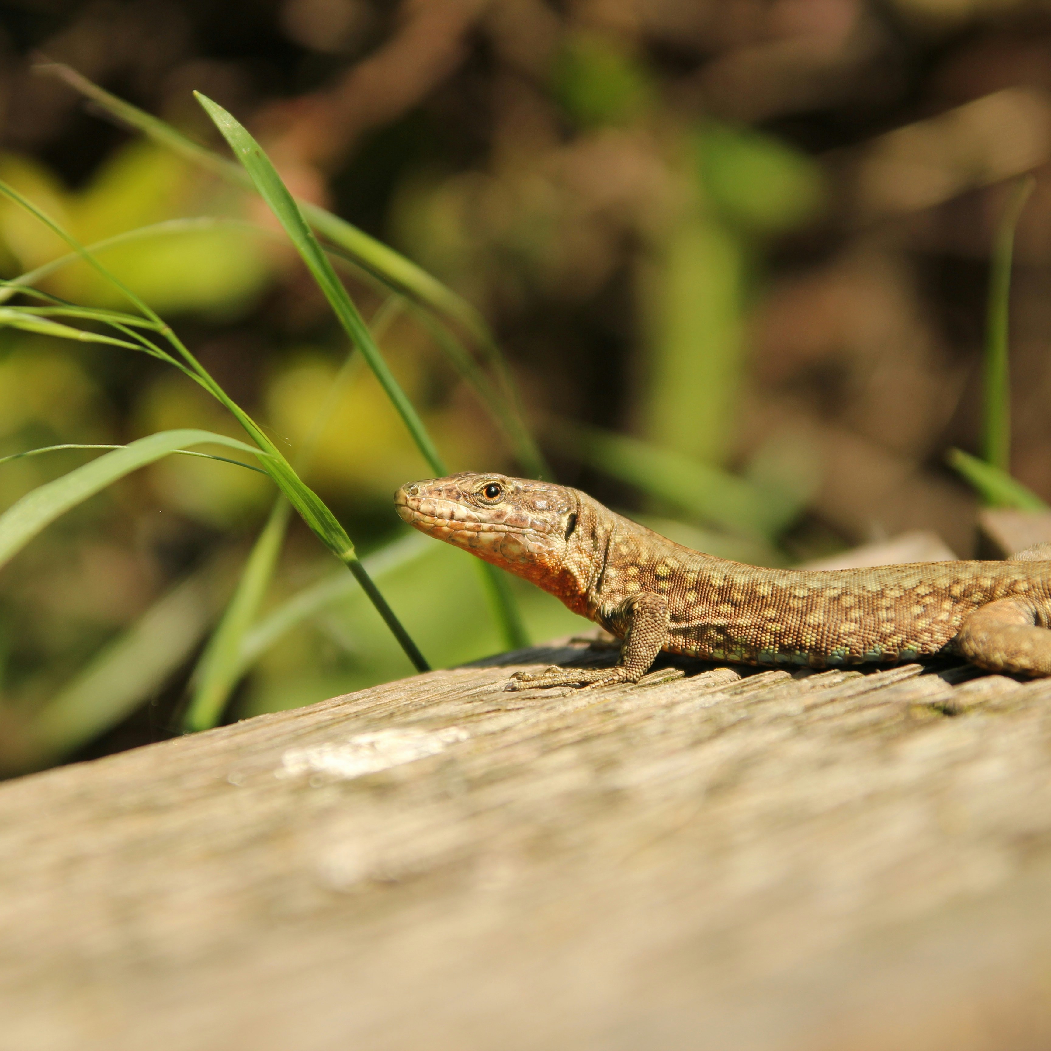 Photo by patrick_rooijen