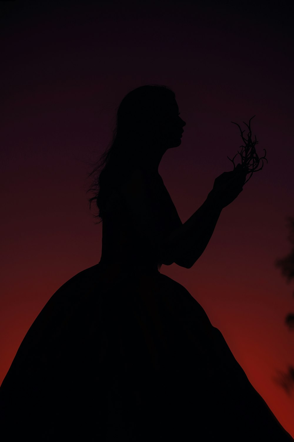 silhouette of woman holding flower