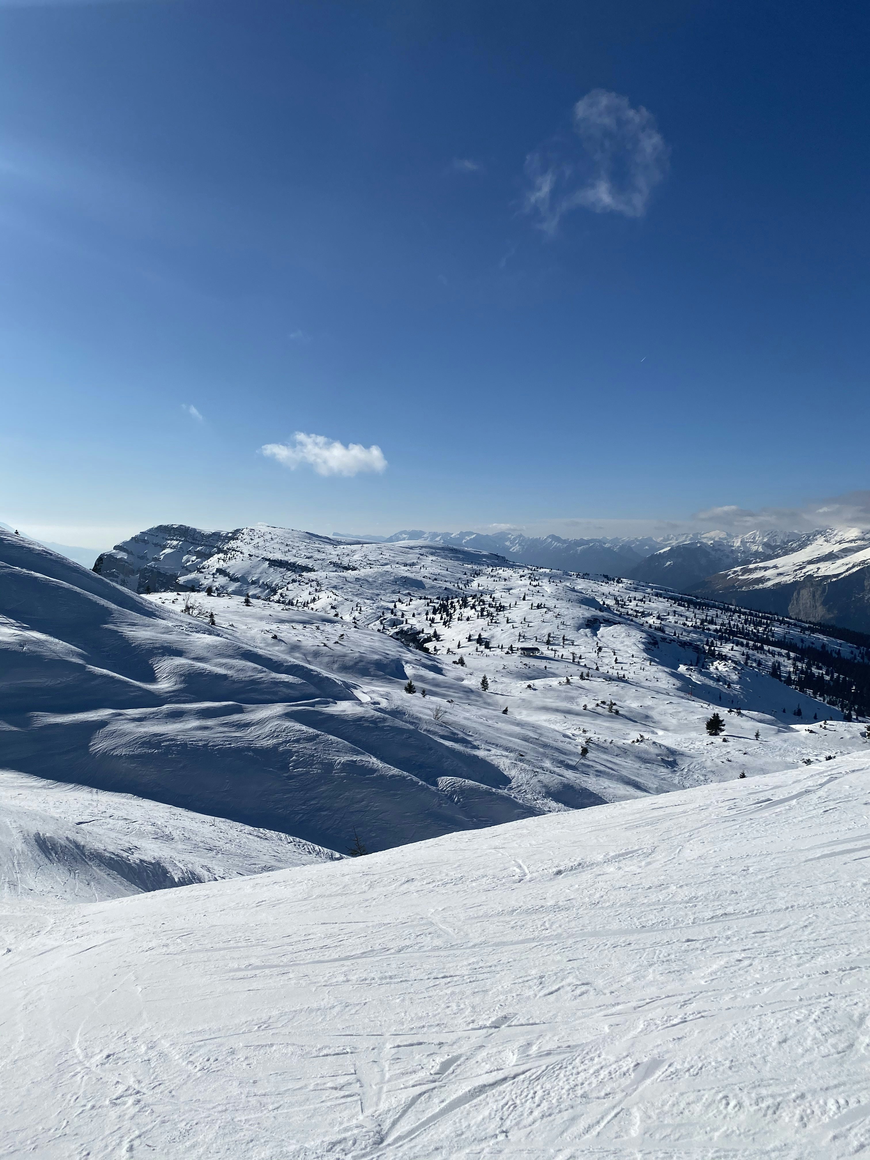 Photo by vojtechbruzek