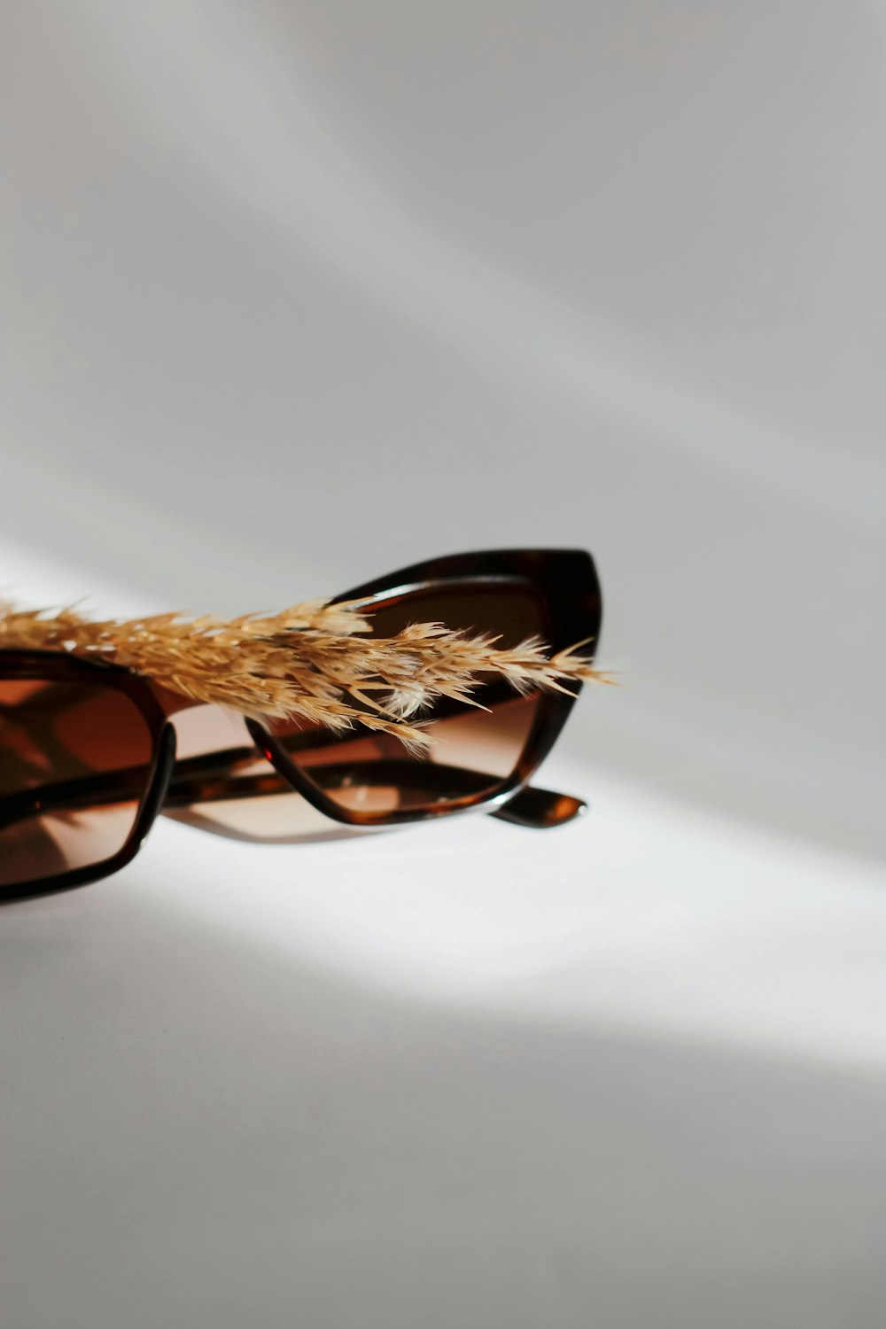 brown and black framed sunglasses