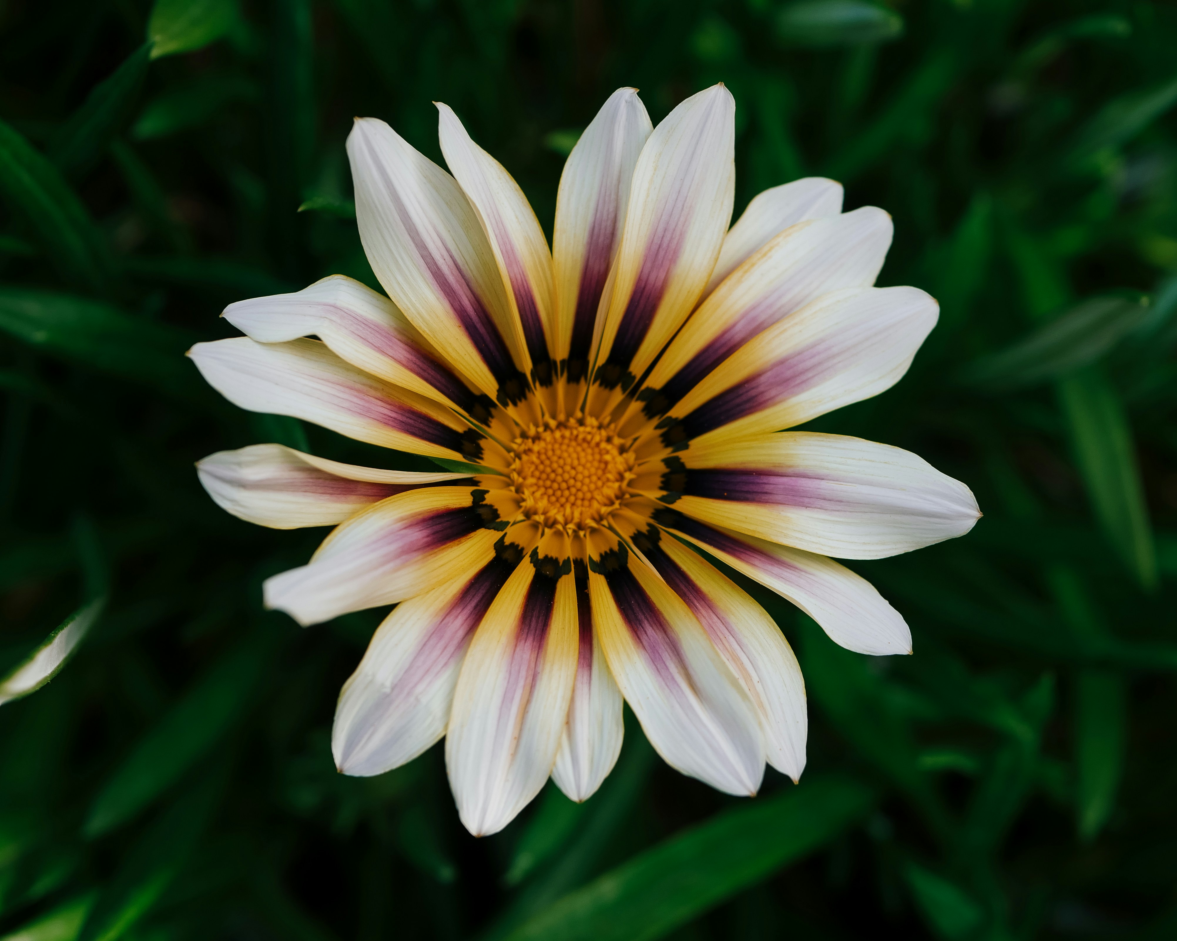 Photo by heyitsjamaal