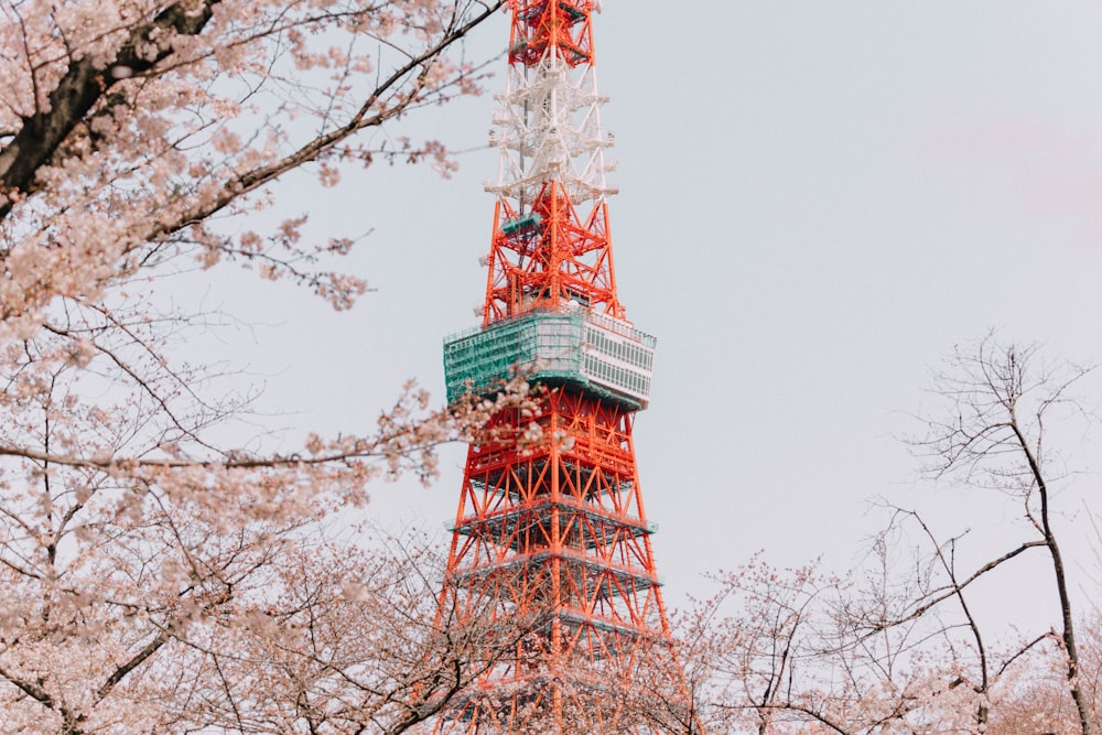 red and white tower under white sky