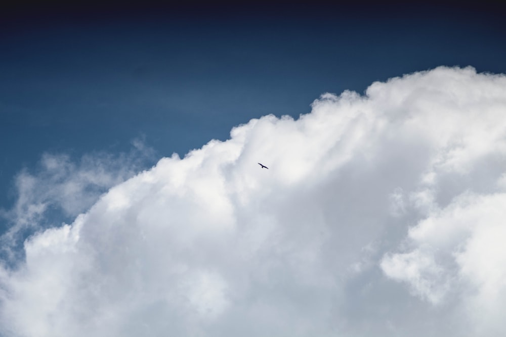 white clouds and blue sky during daytime