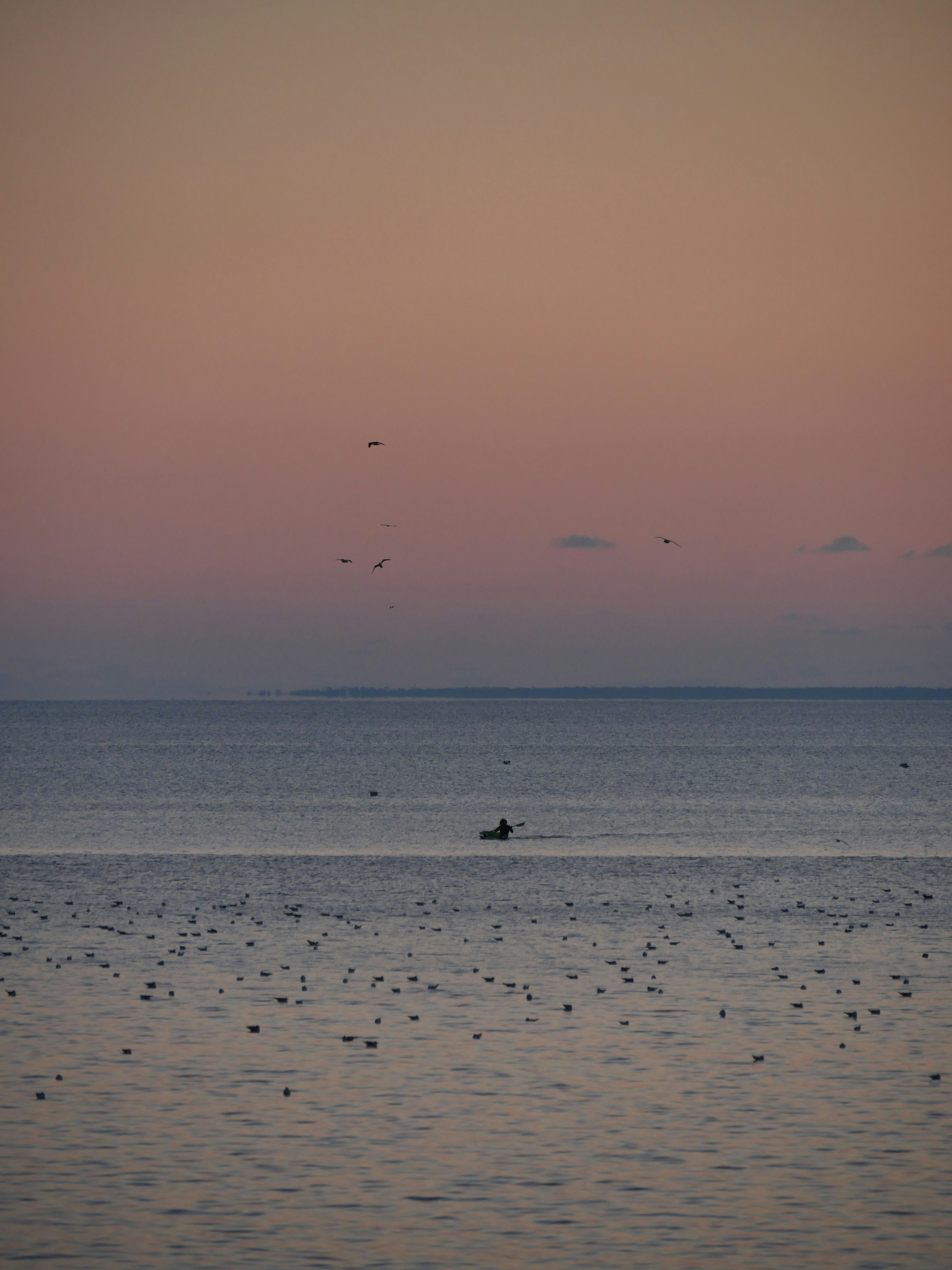 Photo by nimbus_vulpis